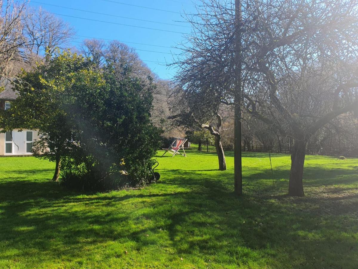 Osbornes Holiday House Near Exeter With Swimming Pool Eksteriør billede